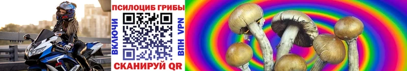 blacksprut tor  Грайворон  Псилоцибиновые грибы ЛСД  где продают наркотики 